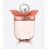 WOMEN SECRET EAU MY SECRET EDT 100 ML SPRAY SIN CAJA