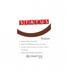 STATUS EDT 100 ml vapo HOMBRE