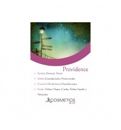 PROVIDENCE EDT 100 ml vapo MUJER