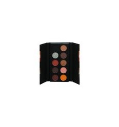 TECHNIC NEUTRALS PALETA DE SOMBRAS 10 TONOS Ref. 990209