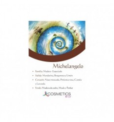 MICHELANGELO EDT 100 ml vapo HOMBRE MICHELANGELO EDT 100 ml vapo HOMBRE