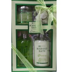 IDC INSTITUTE SCENT BATH GREEN TEA