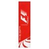 FORMULA 1 POWER EDT 100 ML SPRAY POUR HOMME
