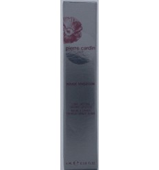 Pierre Cardin Lipstick larga duración con aplicador Nº 10 Chocolat