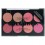 TECHNIC COLOUR FIX BLUSH PALETTE 8 X 3,5 g Ref. 25705