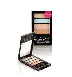 TECHNIC HIDE IT !! PALETA DE 4 CORRECTORES