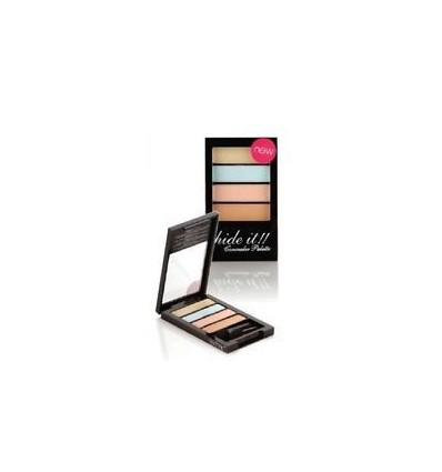 TECHNIC HIDE IT !! PALETA DE 4 CORRECTORES