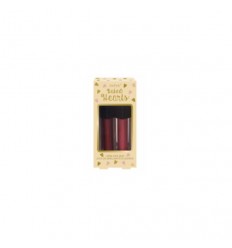 TECHNIC BAKED HEARTS LIP GLOSS DUO TECHNIC BAKED HEARTS LIP GLOSS DUO