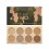 REVOLUTION PRO HD CAMOUFLAGE CONCEAL PALETTE LIGHT MEDIUM 8 X 1.25 GR