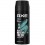 AXE APOLLO FRESH DEO SPRAY 48 H 150 ML