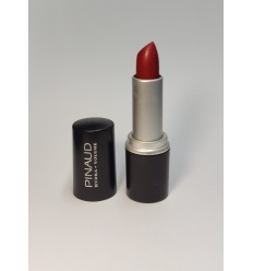 PINAUD BARRA DE LABIOS HYDRA VOLUME 06