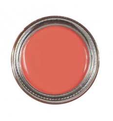TECHNIC SUMMER CREAM BLUSH - KISS CURL 2 g