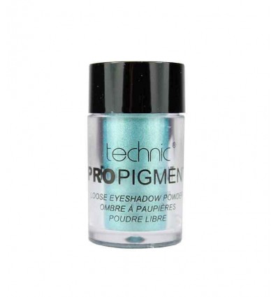 Technic Pro Wet & Dry Pigment 24 Merry Mermaid 2 g