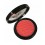 Technic Blusher