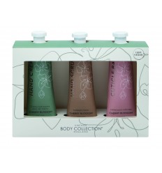 BODY COLLECTION HAND TRIO