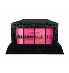 TECHNIC BLUSH PALETTE WARM EDIT