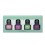 BODY COLLECTION NAIL POLISH SET R 993611