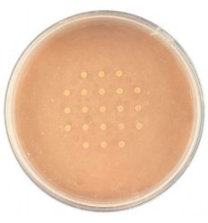 TECHNIC Maquillaje de polvo mineral Beige 10 g Ref. 21708 TECHNIC Maquillaje de polvo mineral Beige 10 g Ref. 21708