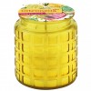 GALA VELA CITRONELA VIDRIO AMARILLO 170 g