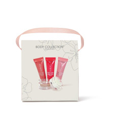 BODY COLLECTION Lip Care kit R 994101 BODY COLLECTION Lip Care kit R 994101