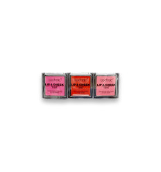 3 unidades TECHNIC LIP & CHEEK TINT 3,5 g LABIOS Y MEJILLAS Ref. 25609 3 unidades TECHNIC LIP & CHEEK TINT 3,5 g LABIOS Y MEJILLAS Ref. 25609