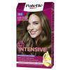 PALETTE INTENSE COLOR 5.1 CASTAÑO CLARO CENIZA