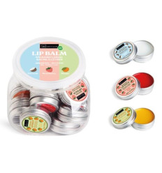 IDC INSTITUTE SMOOTHIE LIP BALM ASSORTED R 99591