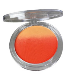 TECHNIC SUMMER VIBES OMBRE BLUSHER GOOD VIBES Ref 22704