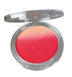 TECHNIC SUMMER VIBES OMBRE BLUSHER BEACH HAPPY Ref 22704