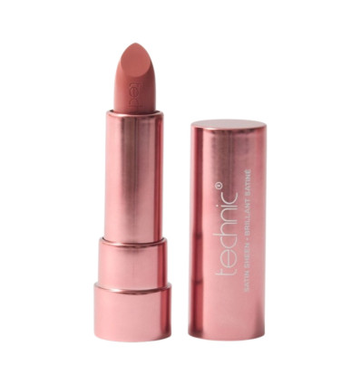 TECHNIC SATIN SHEEN CHARISMATIC R 24627