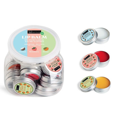 IDC INSTITUTE SKIN FOOD LIP BALM Ref. 99591