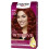 PALETTE INTENSE CREAM COLOR 6.88 ROJO RUBI