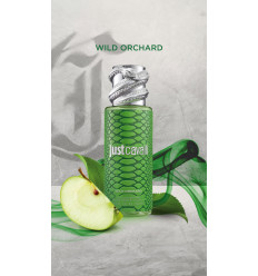JUST CAVALLI WILD ORCHARD BRUMA CORPORAL Y CAPILAR 250 ml