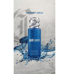 JUST CAVALLI VIBRANT AQUA BRUMA CORPORAL Y CAPILAR 250 ml