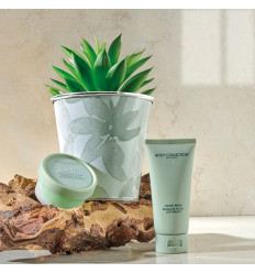 BODY COLLECTION HAND CARE GIFT SET R 995116