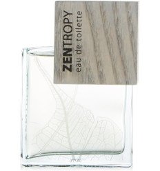 ZENTROPY MAN EDT 100 ml SIN CAJA