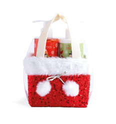 IDC INSTITUTE CHRISTMAS SET R 90375