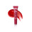 THE FRUIT COMPANY LIP GLOSS CRYSTAL EFFECT WATERMELON SANDÍA RED 12 g