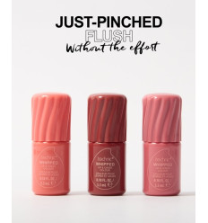 TECHNIC WHIPPED TINTE LABIOS Y MEJILLAS - COOKIES & CREAM 5,5 ml R 26619