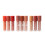 TECHNIC LIP VAULT SET DE LABIALES R 996207