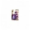 PINAUD 119 LACA DE UÑAS 11 ml