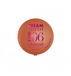 BOURJOIS CREAM BLUSH SUN 06 TROPICAL CORAL COLORETE EN CREMA 2,5 g