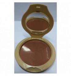 PINAUD POLVO TERRACOTA 01 10G