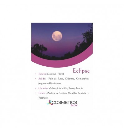 ECLIPSE EDT 100 ml vapo MUJER