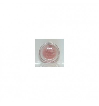 PINAUD SUMMER GLAM GLOSS Nº 01 2,8ML