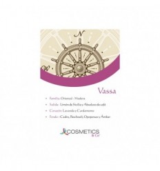 VASSA EDT 100 ml vapo HOMBRE
